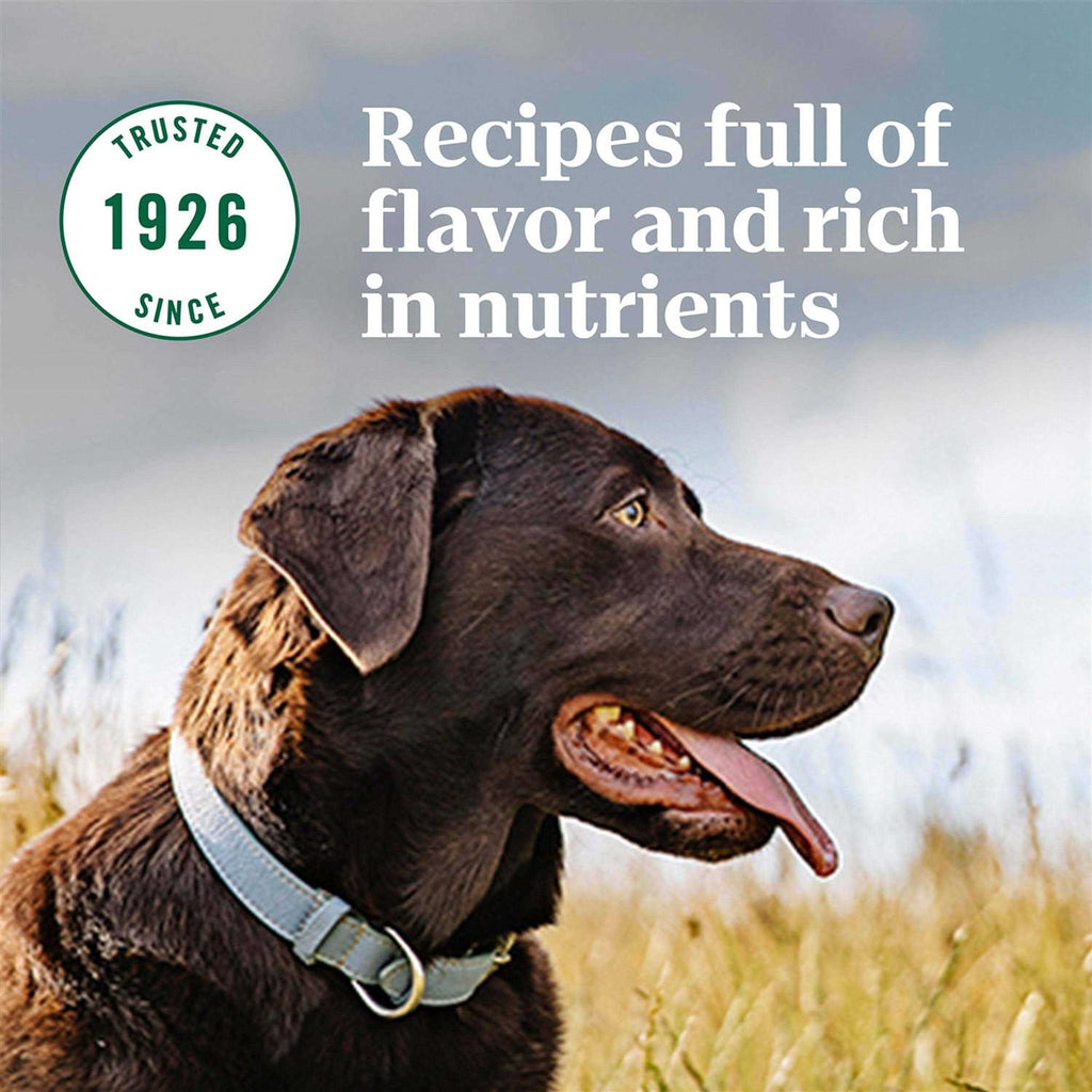 Large Breed Adult Dry Dog Food Chicken T13916