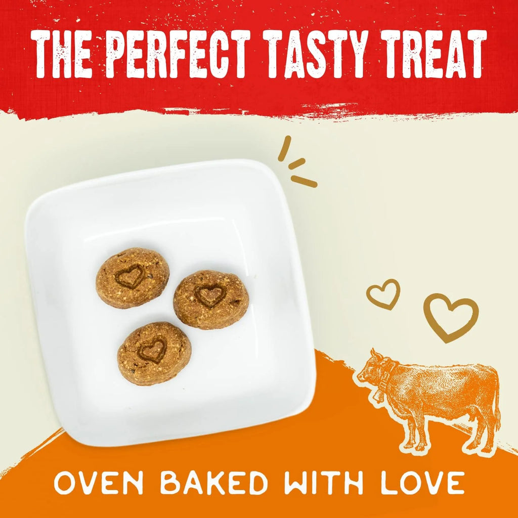 Freeze-Dried Raw Coated Grain Free Dog Biscuits 9 oz Bag D166808