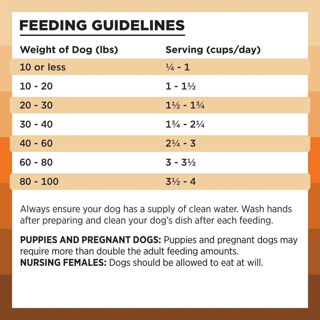 Chicken Recipe Dry Dog Food M974