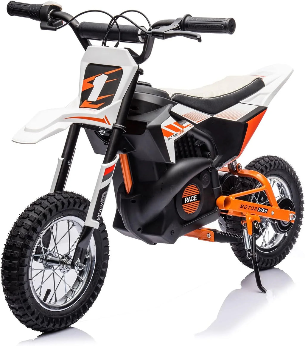 Electric Dirt Bike 24V 250W White J820