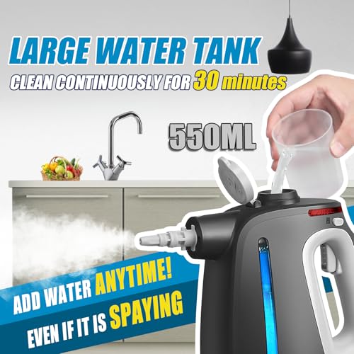 Handheld Steam Cleaner with 14pcs Accessories F81179
