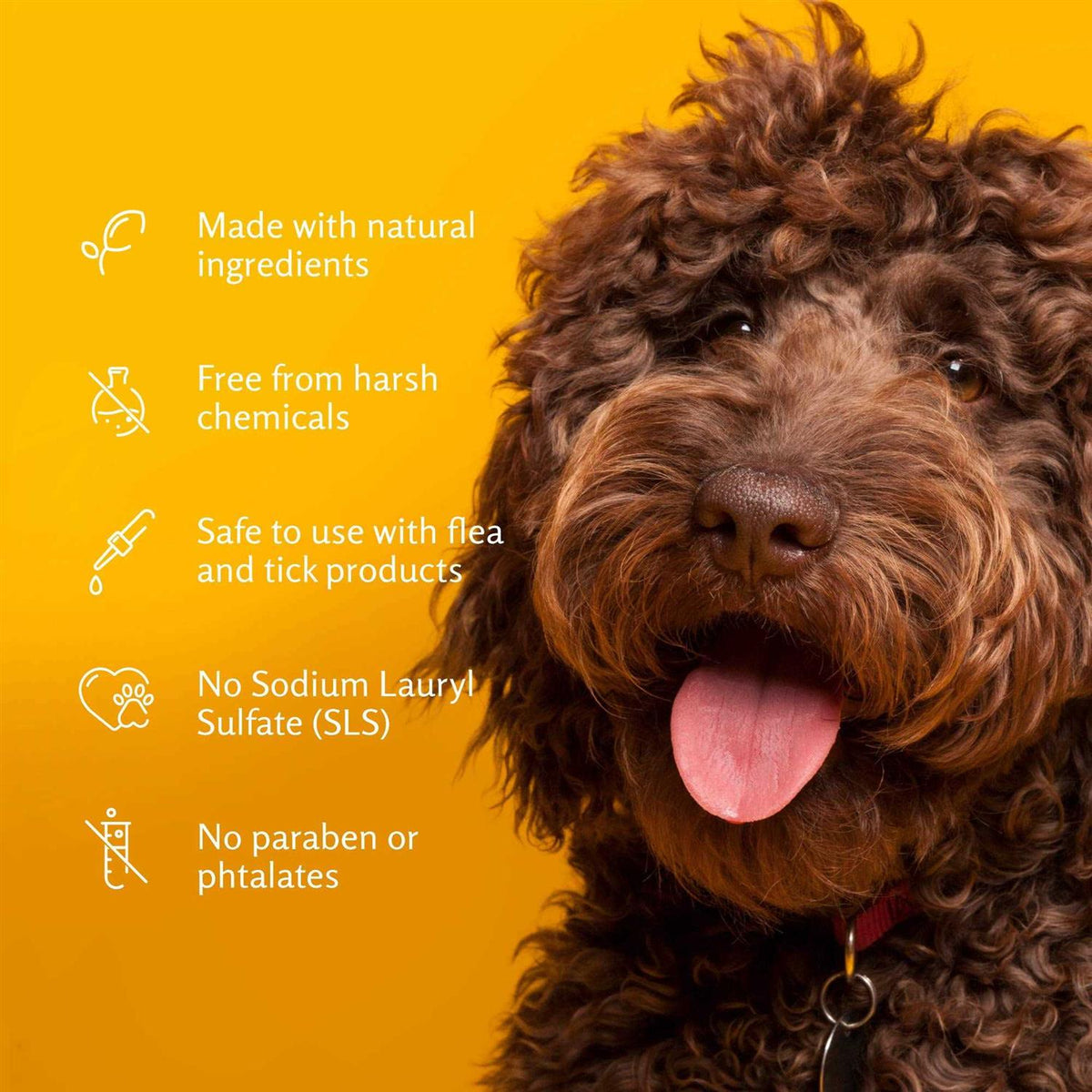 Deodorizing Spray for Dogs Z441