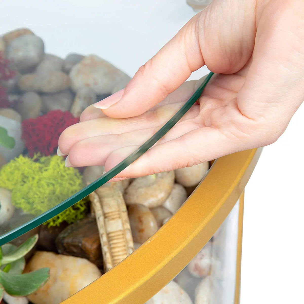 Round Terrarium Display End Table with Reinforced Glass R576