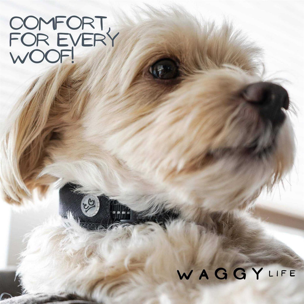 Adjustable Reflective Padded Dog Collar S16994