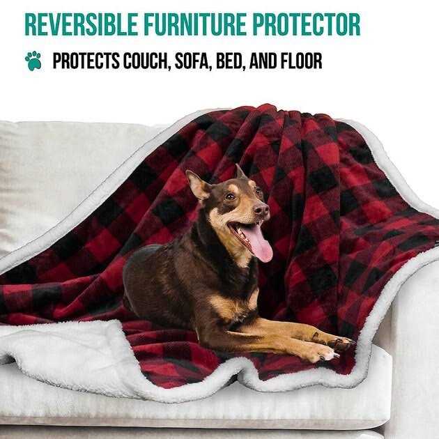 Dog Blanket F19914