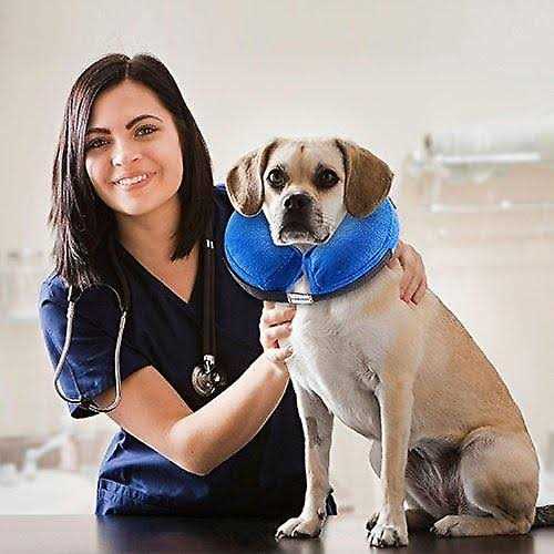 Inflatable Soft Pet Recovery Collar G9557