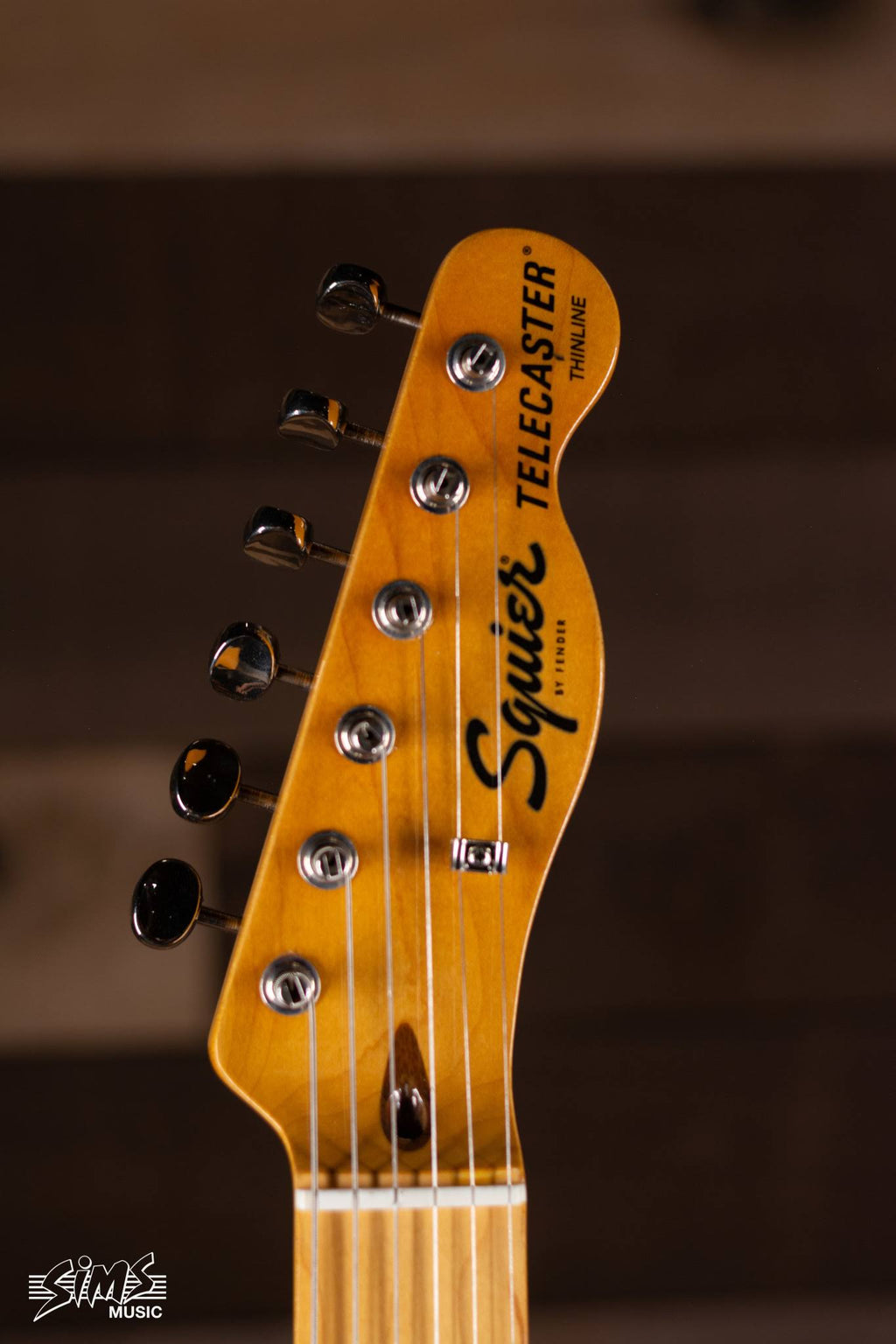 Natural Telecaster Thinline Guitar Z9479
