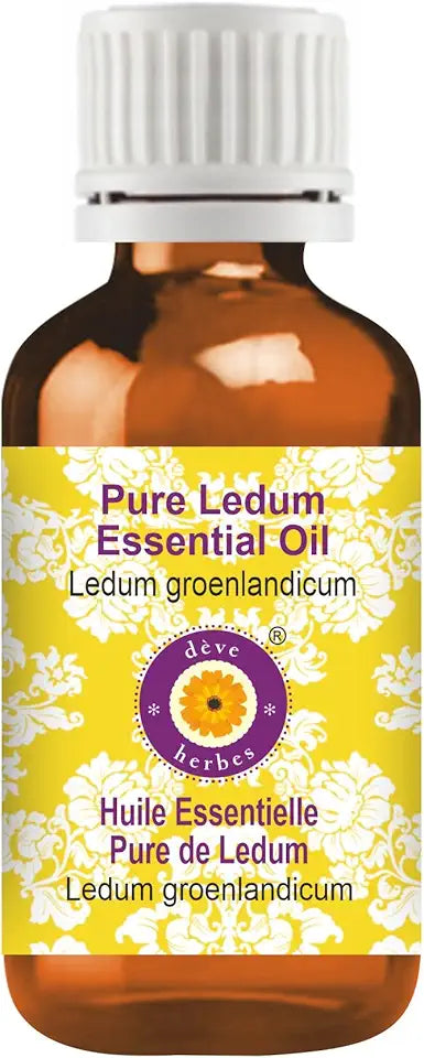 Pure Ledum Essential Oil Steam Distilled 50ml J506935