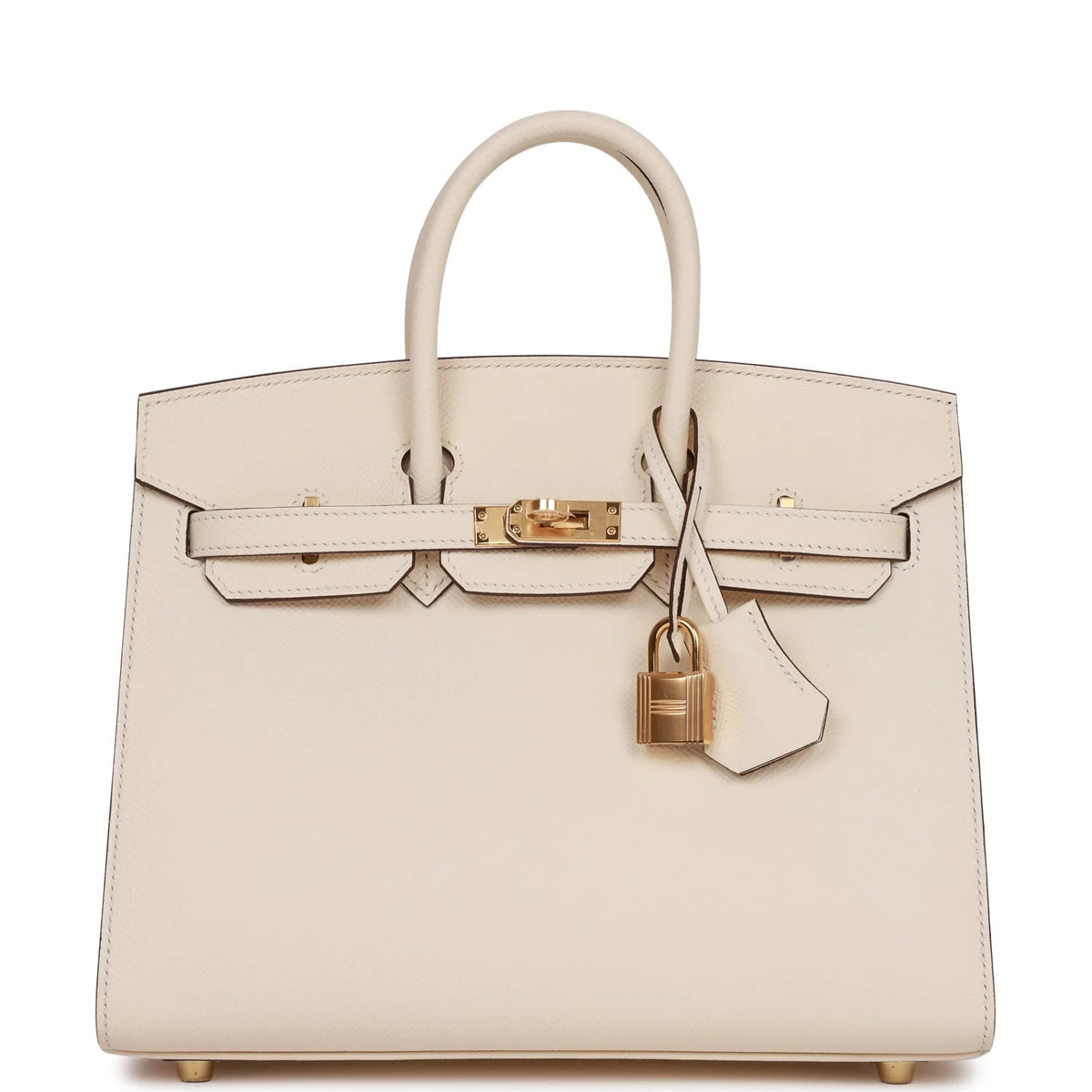 Birkin 25 Nata Epsom Gold Hardware Q1843