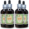 Organic Dried Fruits Alcohol-Free Liquid Extract 4x4 fl.oz P9072