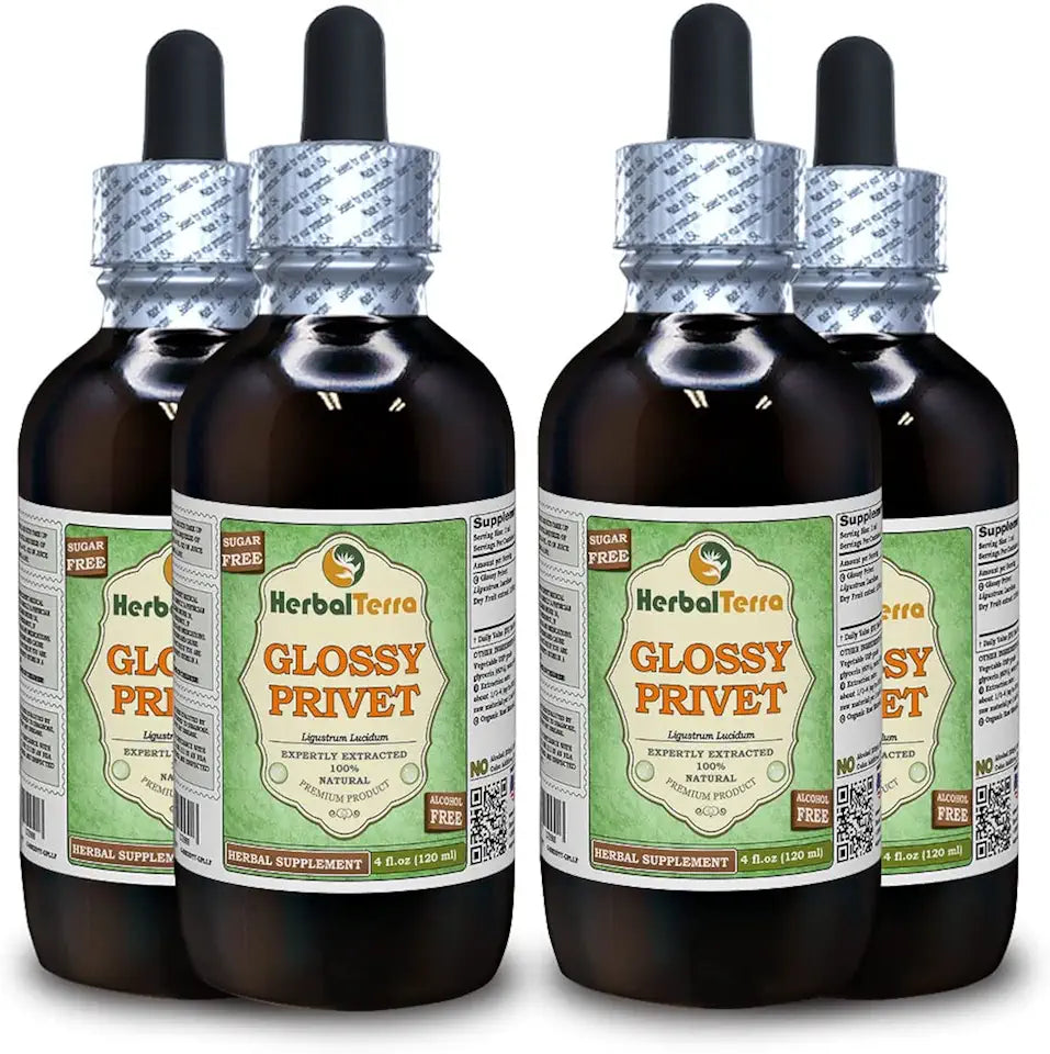 Organic Dried Fruits Alcohol-Free Liquid Extract 4x4 fl.oz P9072