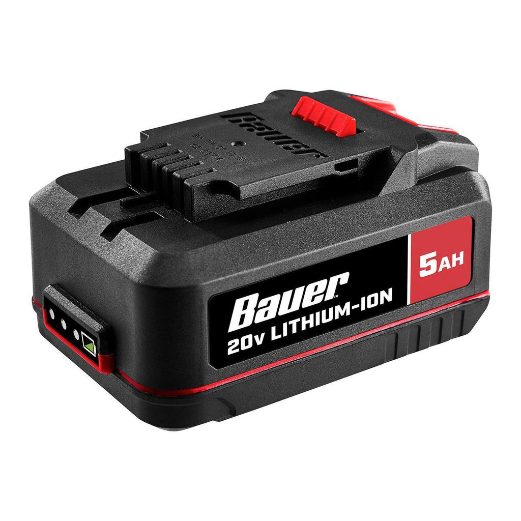 20V 5 Ah Lithium-Ion Battery 2-Pack D3006
