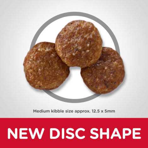 Chicken & Barley Recipe Dry Dog Food A726896