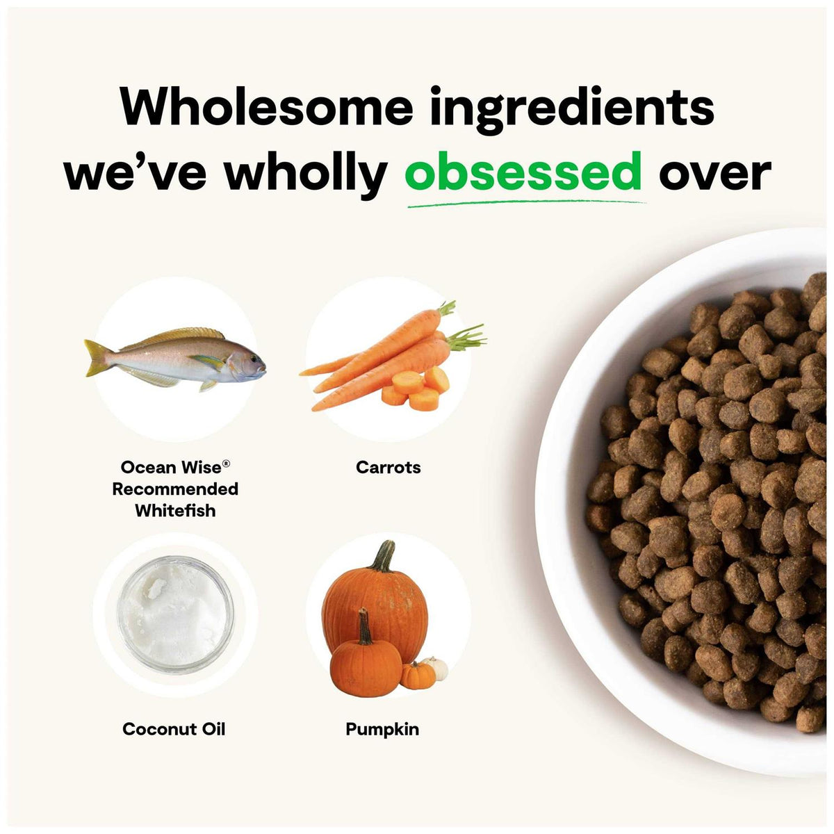 Grain Free Whitefish Dry Dog Food O6862