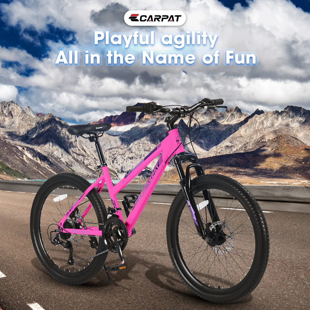 26 inch 21 Speeds Mountain Bike with Dual Disc Brakes J6374