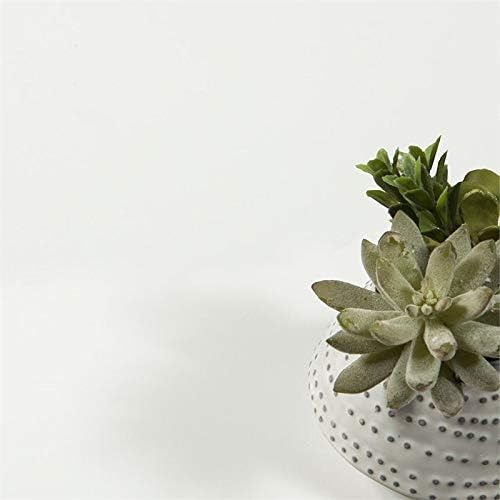 White and Oak Nightstand Z673653