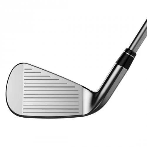 Forged Iron I916091