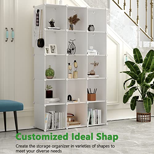 16 Cube Plastic Storage Organizer D56930