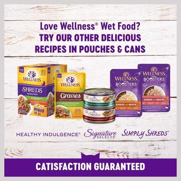 Natural Grain Free Gravy Cat Food Pouch E590