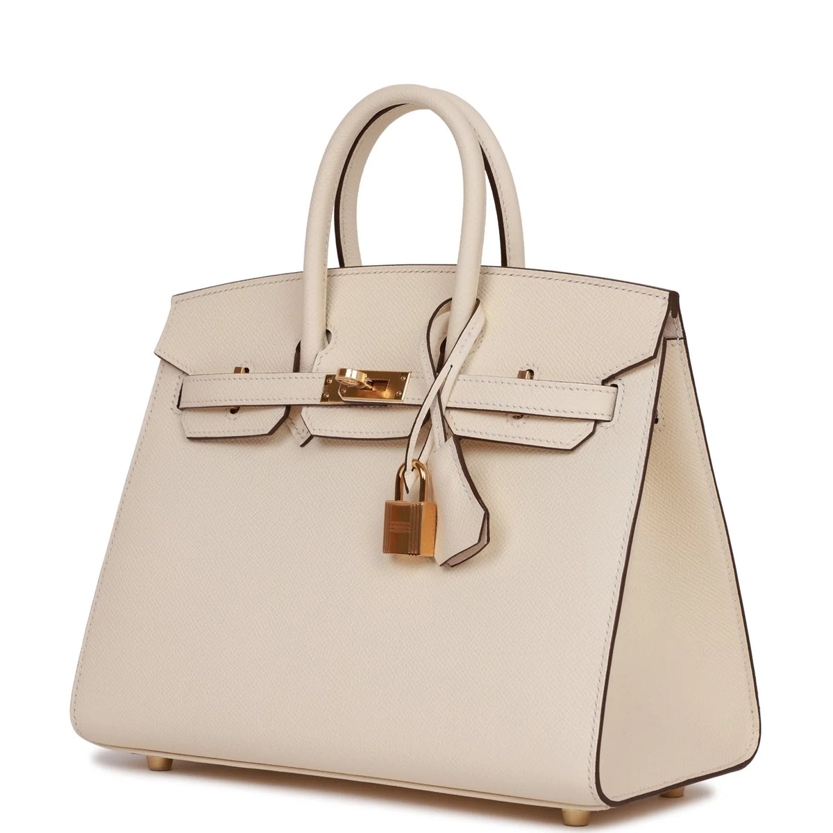 Birkin 25 Nata Epsom Gold Hardware Q1843