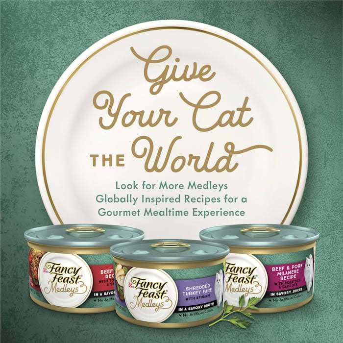 Shredded Cat Food G58796
