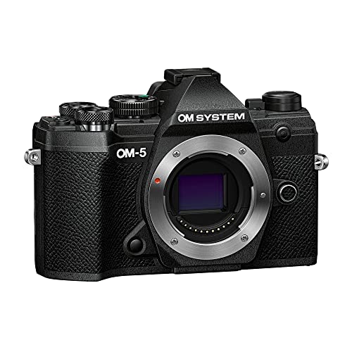 Black Mirrorless Camera Z2281