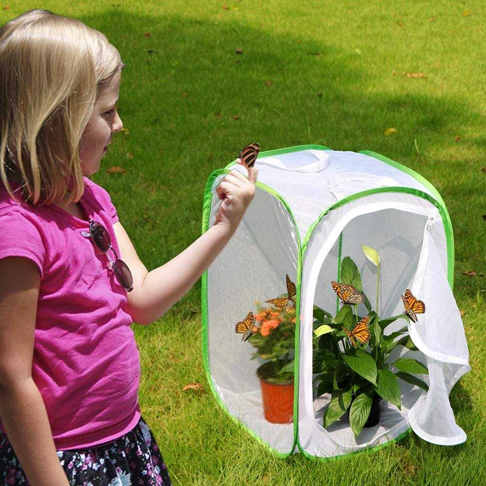 Insect and Butterfly Habitat Cage Terrarium N20425