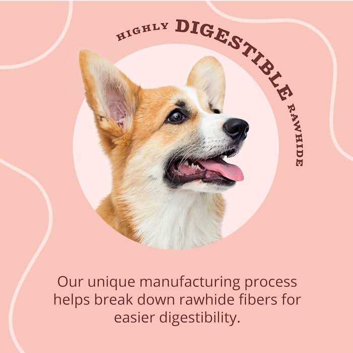 Real Dog Treats M5601