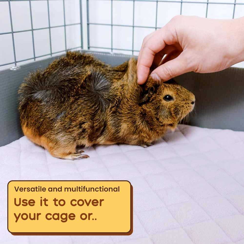 Guinea Pig Fleece Liner K9719