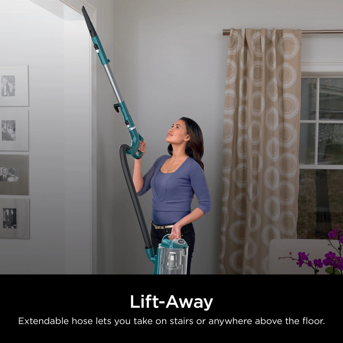 Lift-Away XL Multisurface Vacuum S119465
