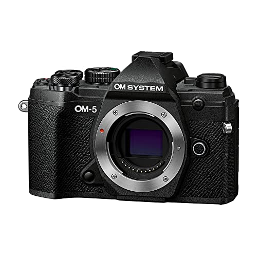 Black Mirrorless Camera Z2281