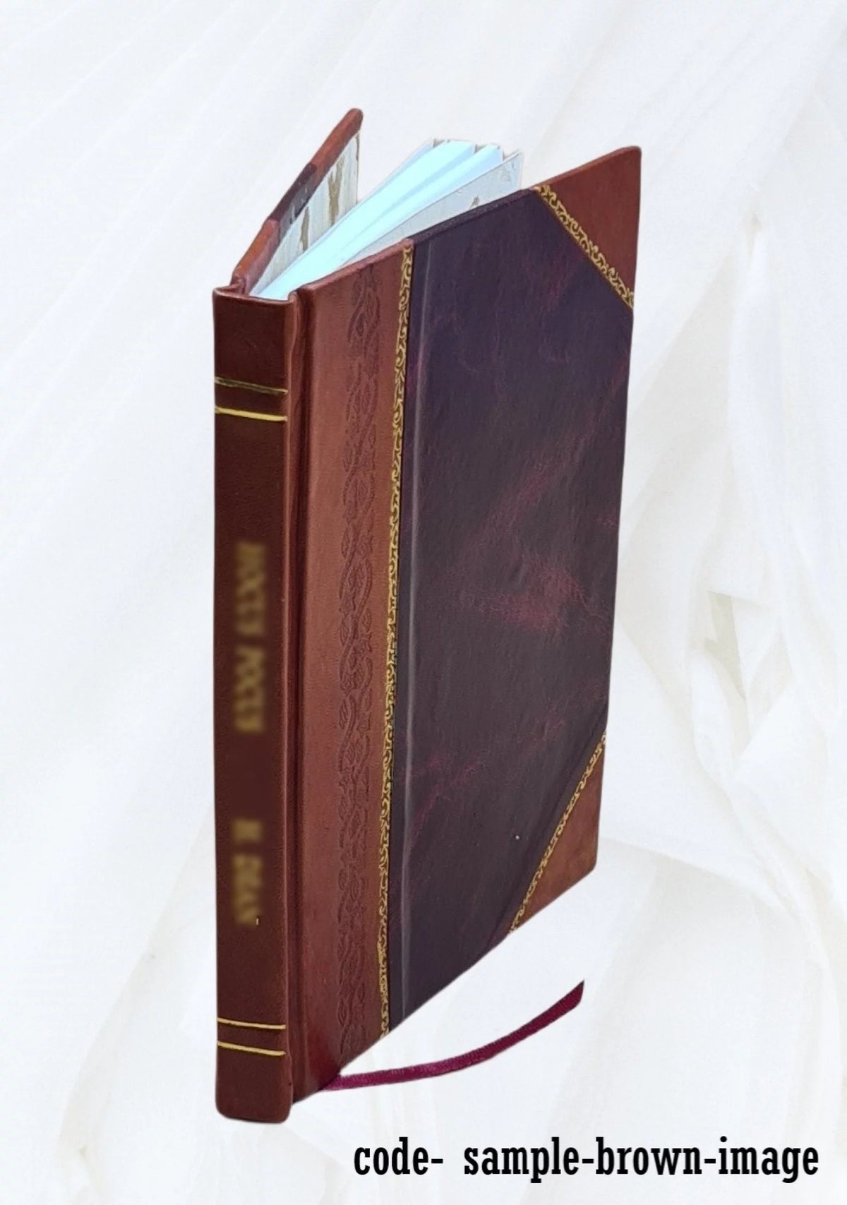 Notice des peintures, sculptures, gravures et lithographies B975