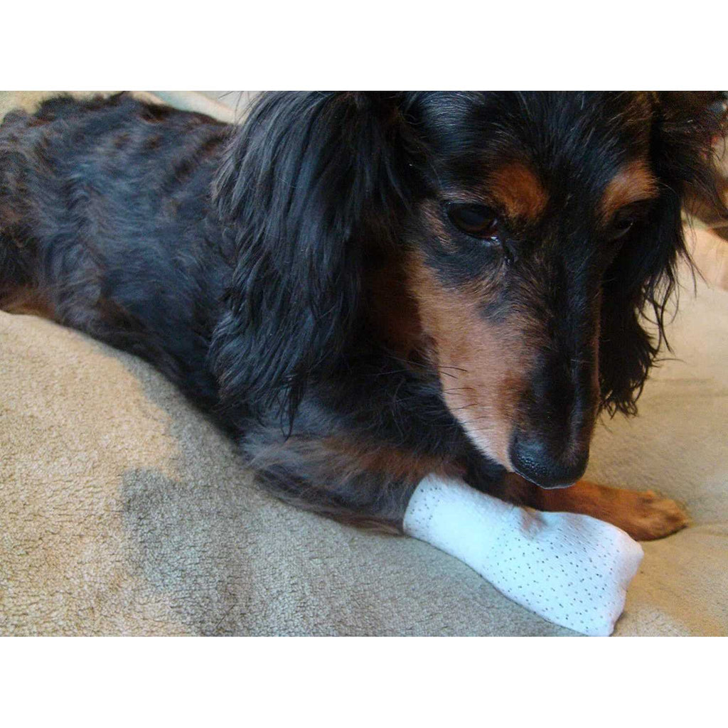 Paw Bandages for Dogs Cats and Pets H3830