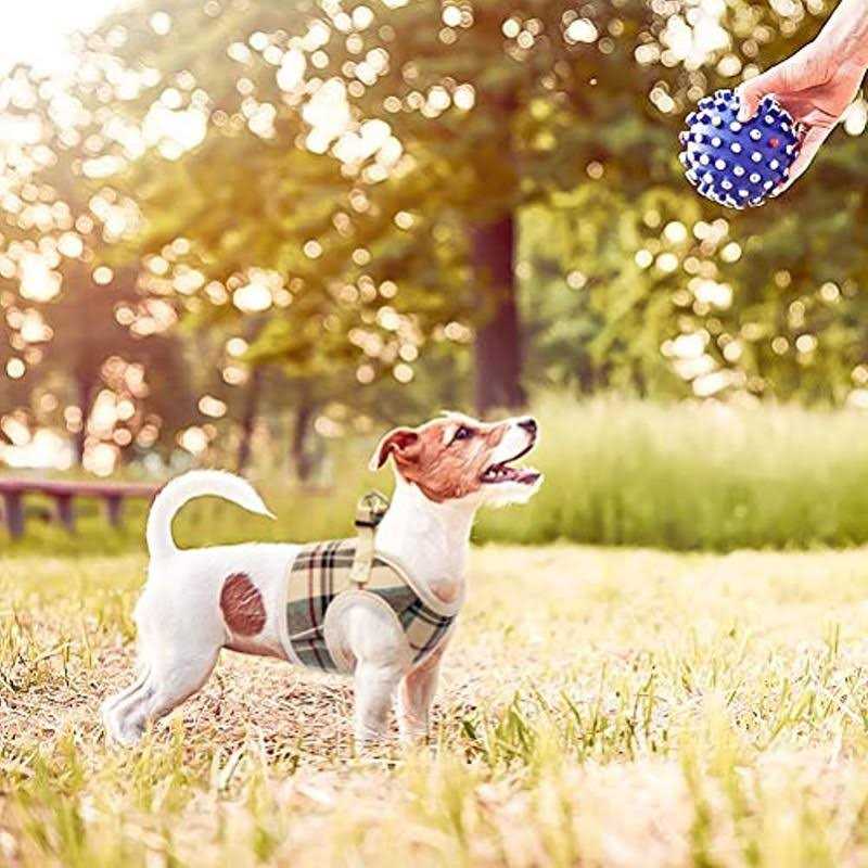 Soft Mesh Padded Dog Harness I57070