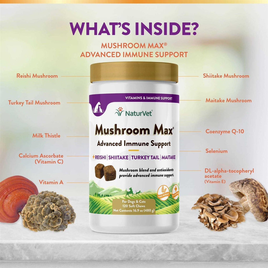 Mushroom Max Immune Support Soft Chews for Dogs & Cats J716