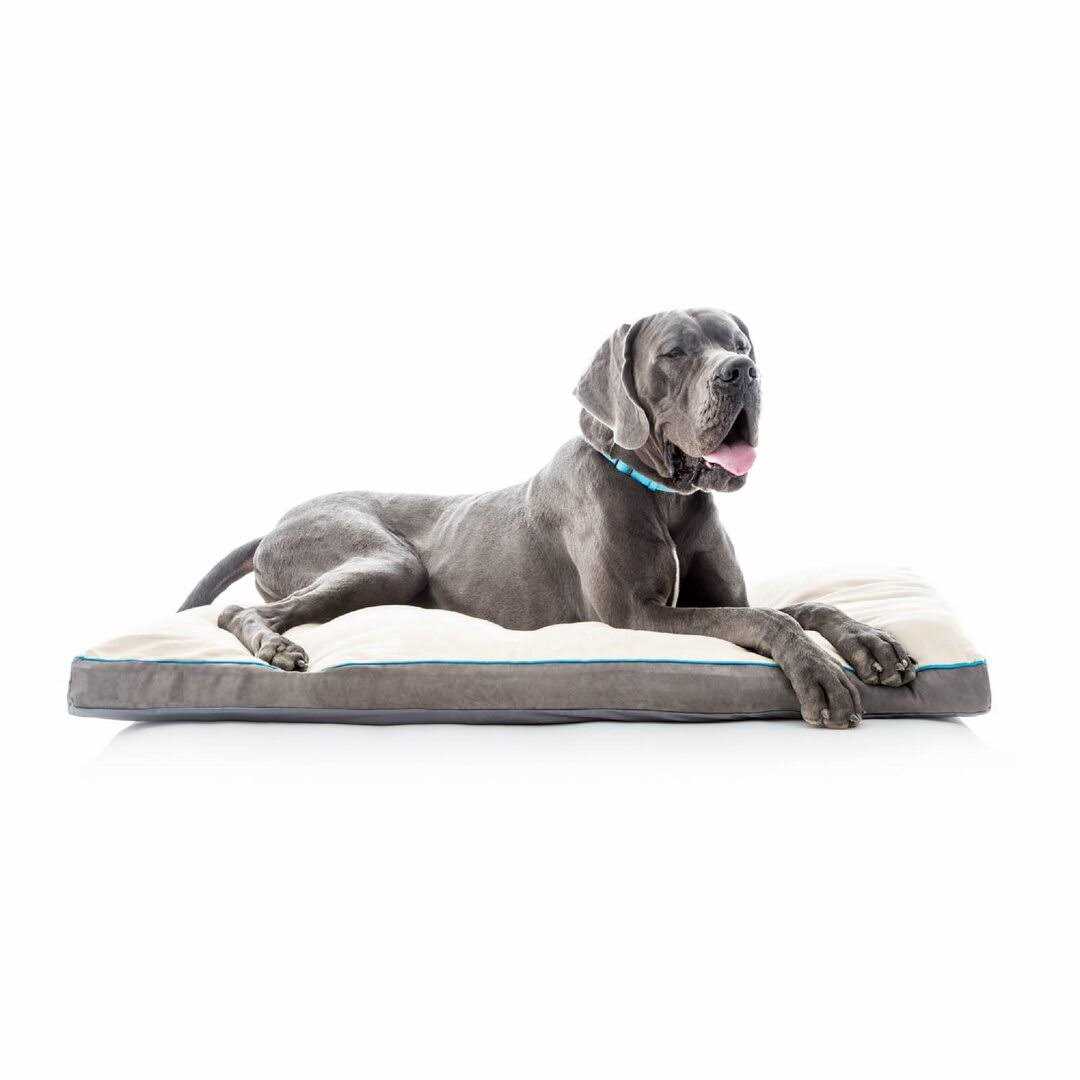 Soft Memory Foam Dog Bed with Removable Washable Cover D1801