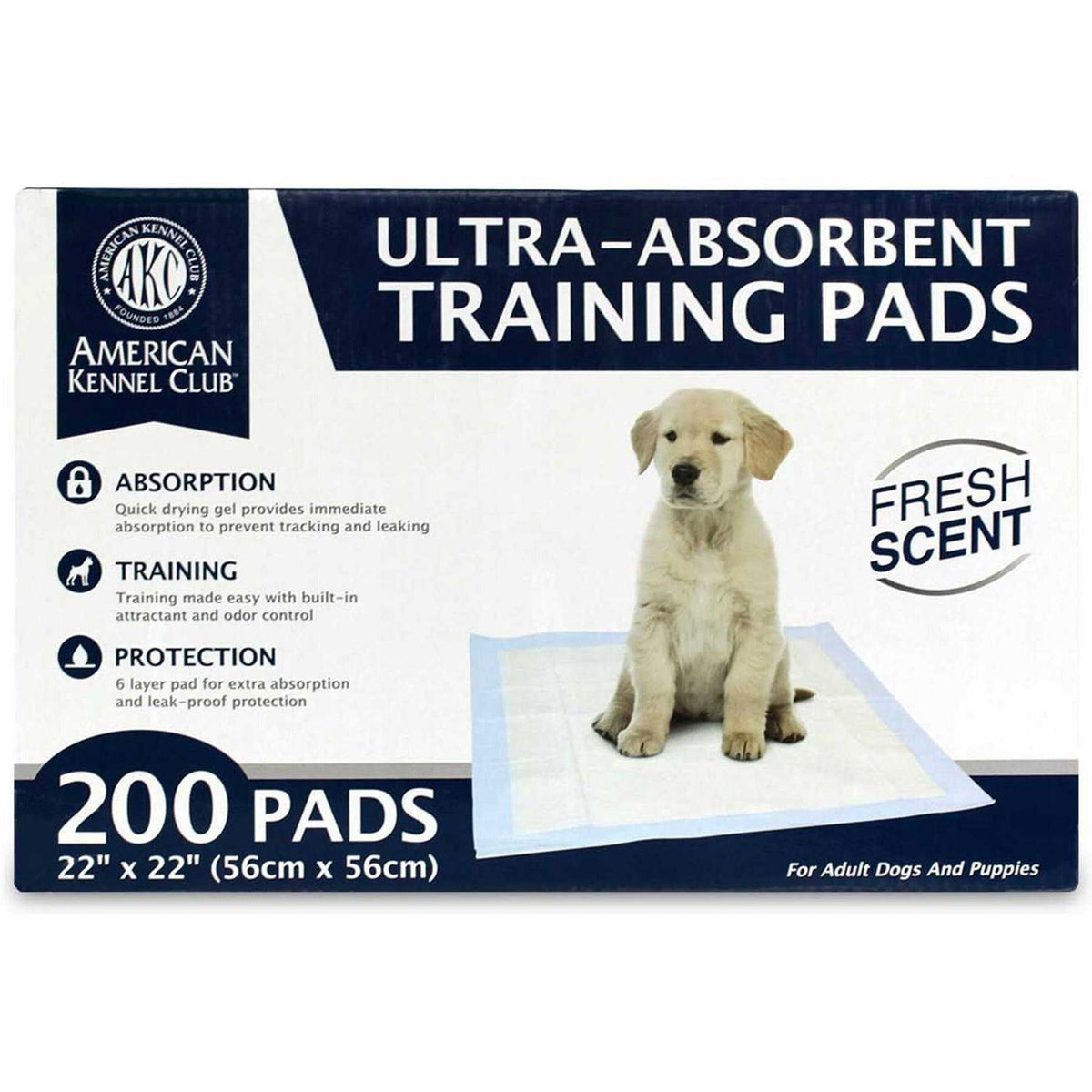 Puppy Training Pads Y966158