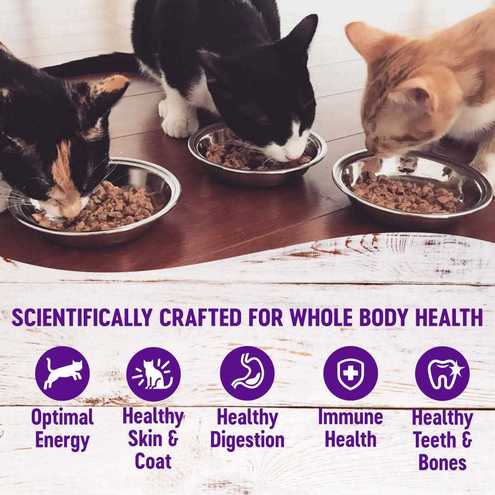 Natural Grain Free Gravy Cat Food Pouch E590