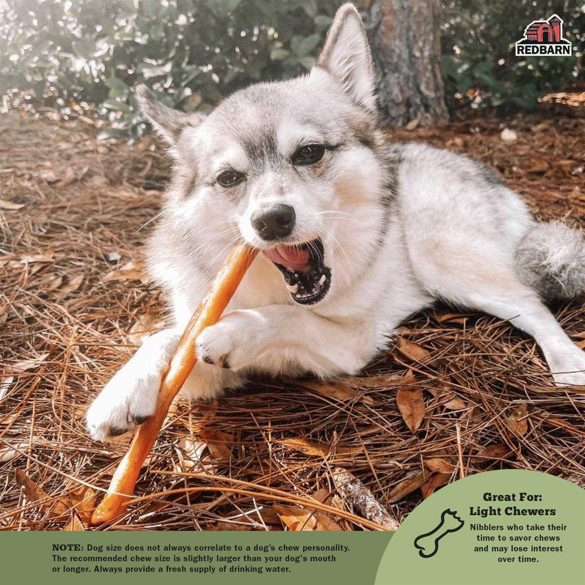 Collagen Dog Pet Supplies V35536