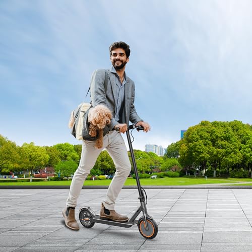 Folding Electric Scooter with Seat and 350W Motor X84662