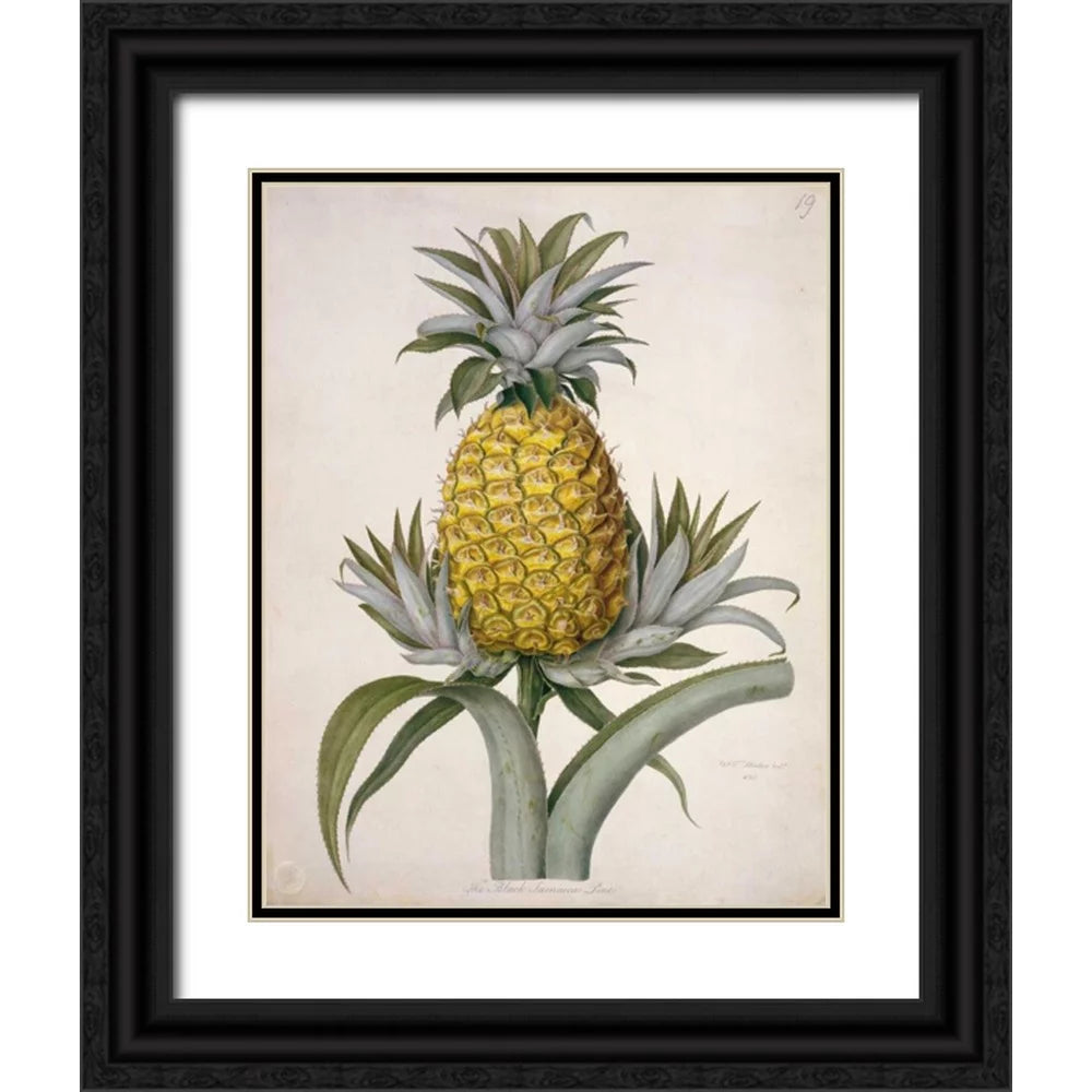 Black Ornate Wood Framed Art Print M93520
