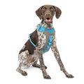 Dog Harness F456285