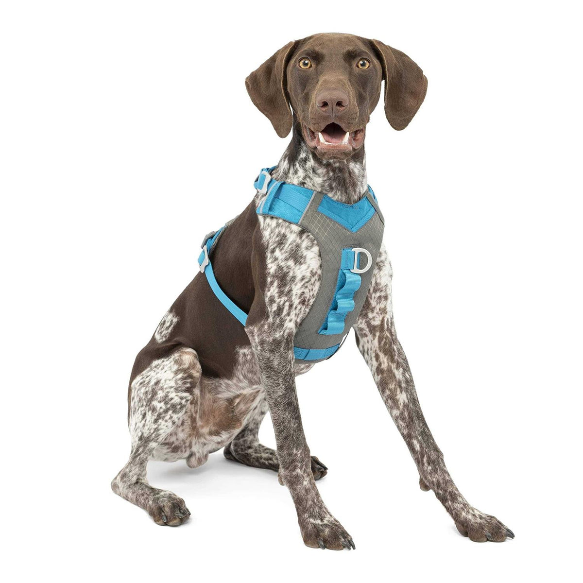 Dog Harness F456285