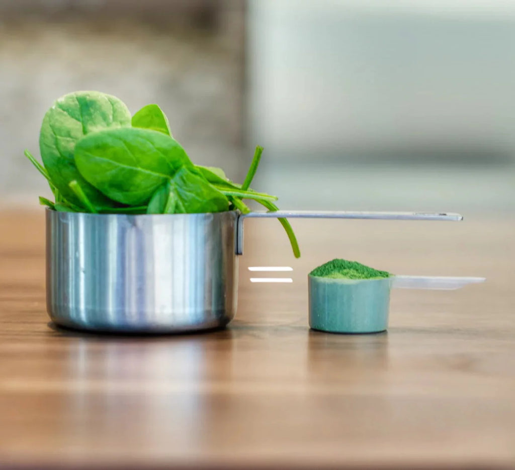 Organic Spinach Powder L42235