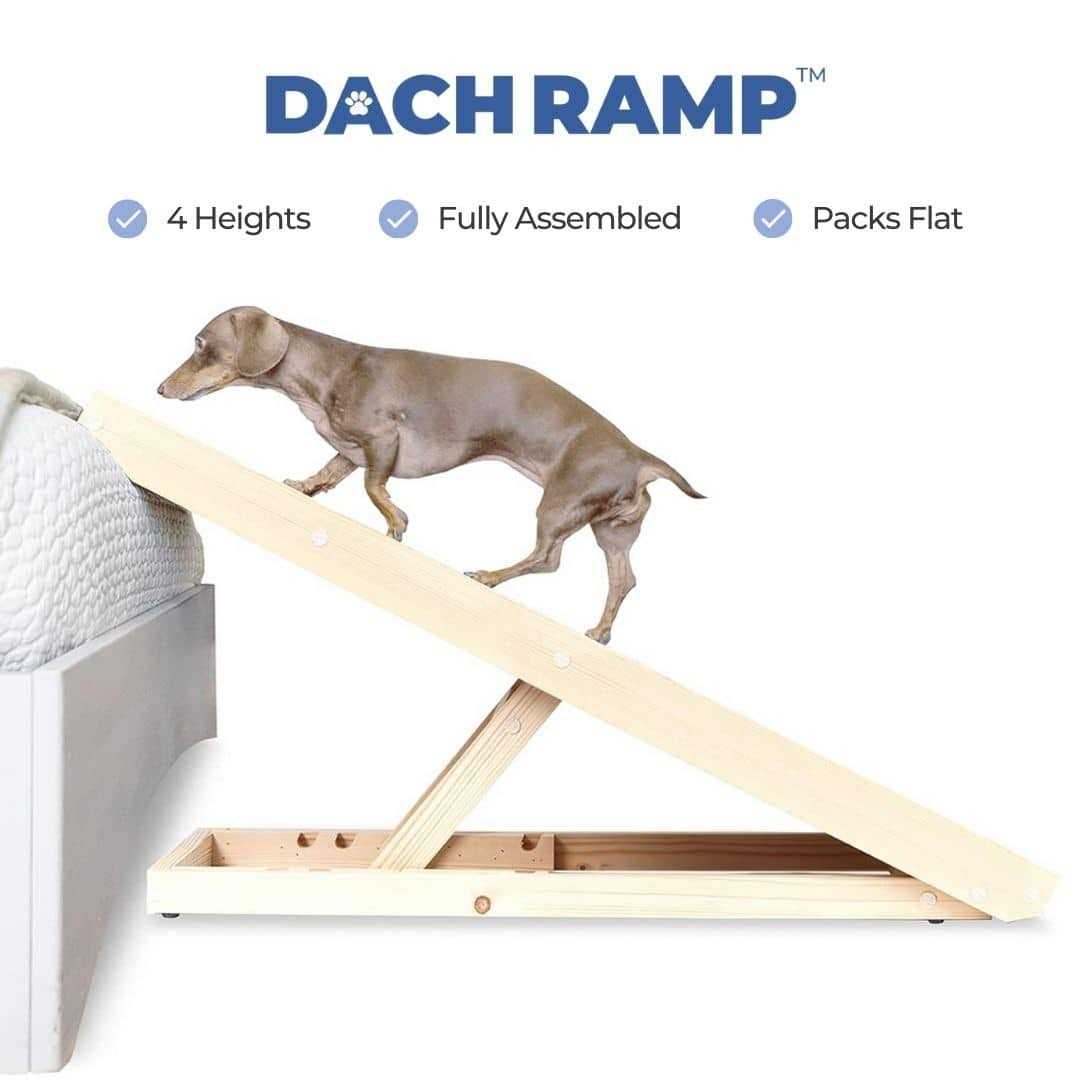 Dachshund Ramp I30657