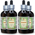 Organic Dried Rosehips Glycerite Alcohol-Free Liquid Extract 4x4 fl.oz E330