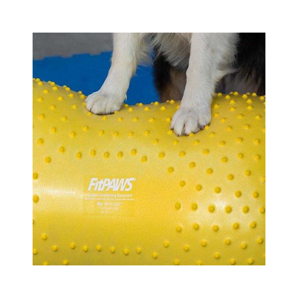 Pet Supplies Y7019